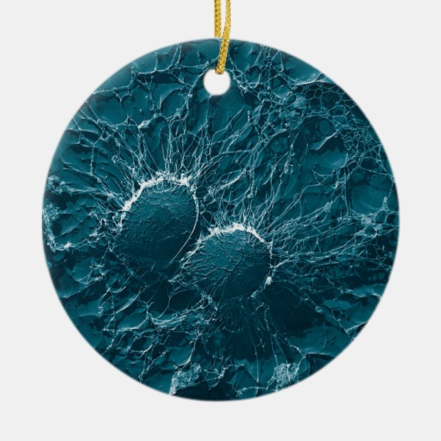Bacterial cells of Staphylococcus Aureus Close Up Ceramic Tree Decoration (Front)