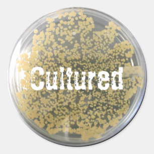 Bacterial Culture Plate Sticker