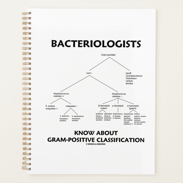 Bacteriologists Know Gram-Positive Classification Planner (Front)