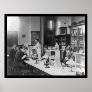 Bacteriology Lab at Howard Univiversity 1900 Poster