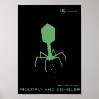 Bacteriophage Poster