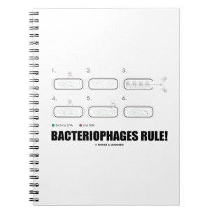 Bacteriophages Rule! (Bacteria Virus DNA) Notebook