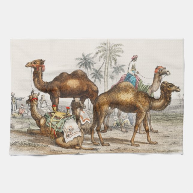 Bactrian Camel, Arabian Camel Or Dromedary Tea Towel (Horizontal)