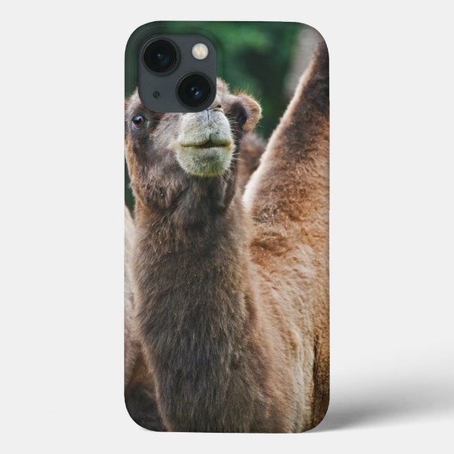 Bactrian Camel iPad Mini Case (Back)
