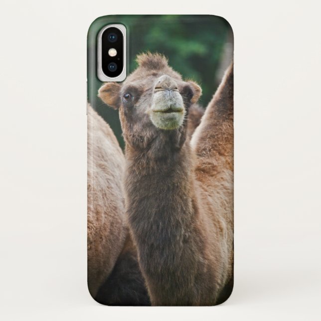 Bactrian Camel iPhone X Case (Back)
