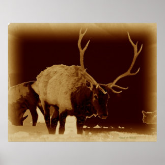 bad 2 the bone poster