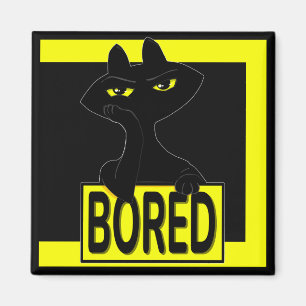 Bad Boogie Black Cat Magnet Funny Sarcastic