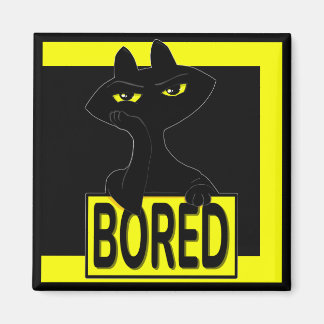 Bad Boogie Black Cat Magnet  Funny Sarcastic 