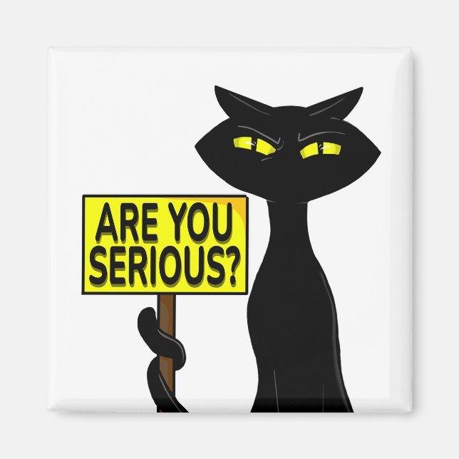 Bad Boogie Fanny Magnet - Are you serius? sign (Front)