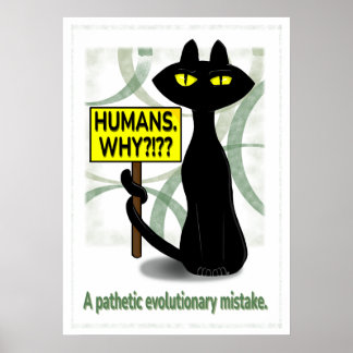 Bad Boogie Funny Poster - Humans. Why? sign