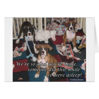 Bad boxer puppies card