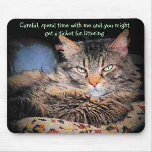 Bad Cat pick up lines #3 Mouse Mat