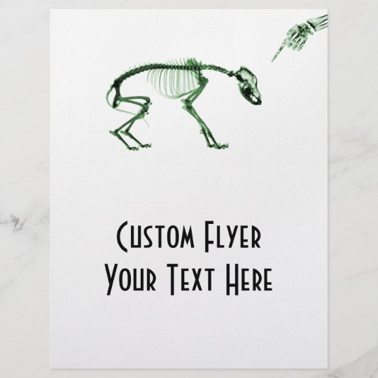 Bad Dog X-ray Skeleton in Green Flyer