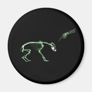 Bad Dog X-ray Skeleton in Green Magnet