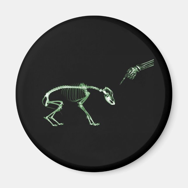 Bad Dog X-ray Skeleton in Green Magnet (Front)