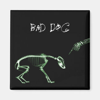 Bad Dog X-ray Skeleton in Green Magnet