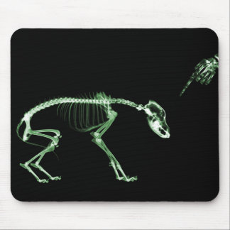 Bad Dog X-ray Skeleton in Green Mouse Mat