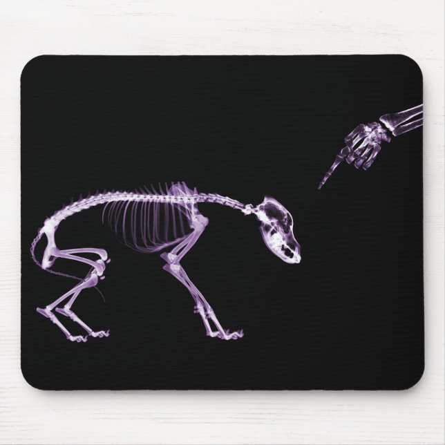 Bad Dog X-ray Skeleton in Purple Mouse Mat (Front)