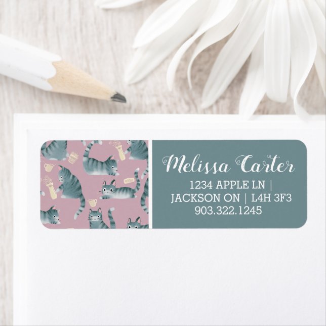 Bad Grey Tabby Cats Knocking Stuff Over (Insitu)