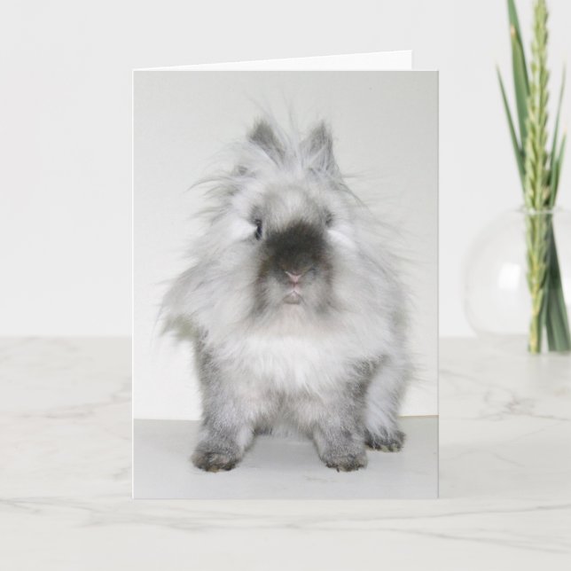 Bad hair day bunny card (Front)