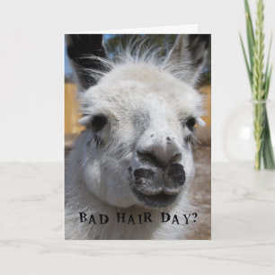 Bad Hair Day Card