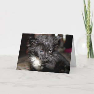Bad Hair Day Card