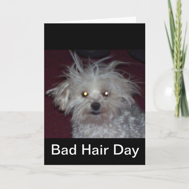 Bad Hair Day - Dog and People Humour Card (Front)