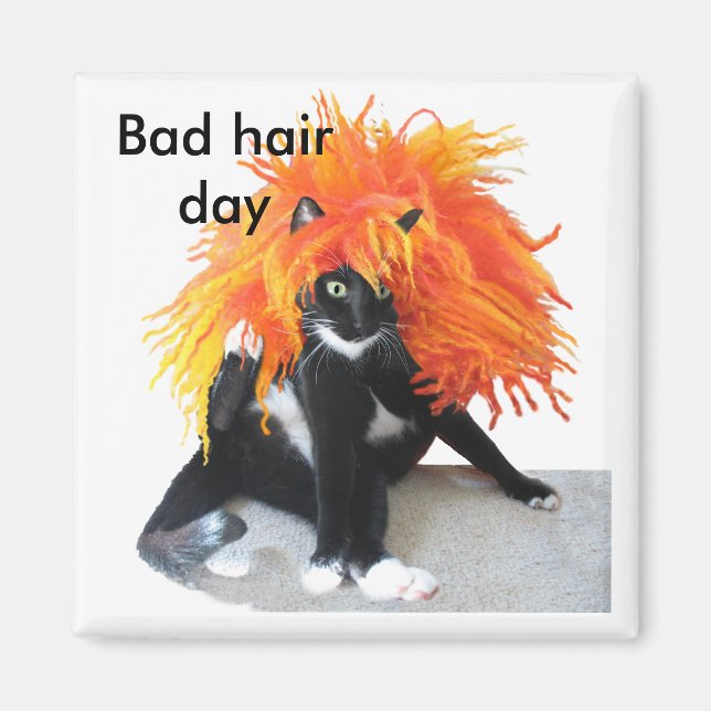 Bad hair day magnet (Front)