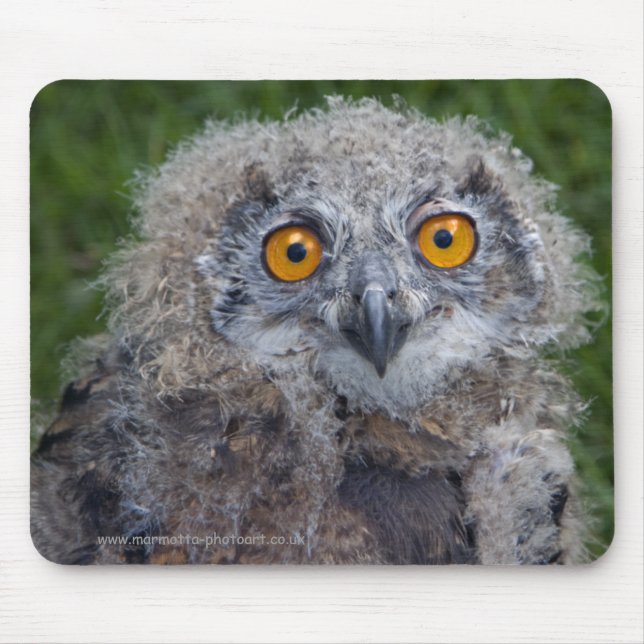 Bad Hair Day Mousemat (Front)