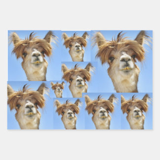 Bad Hair Day Wrapping Paper Sheet