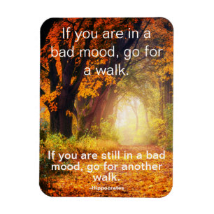 Bad Mood - Go for a Walk, Motivational Quote Magnet