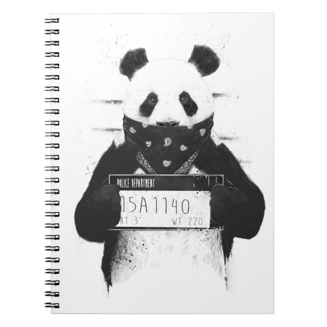 Bad panda notebook (Front)