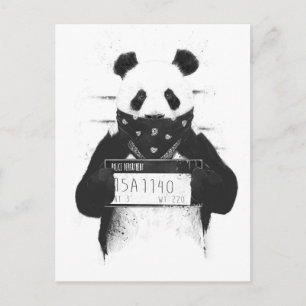 Bad panda postcard