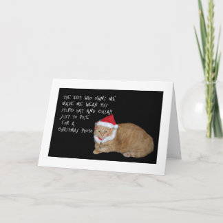 Bad Santa Fat Cat Christmas Card