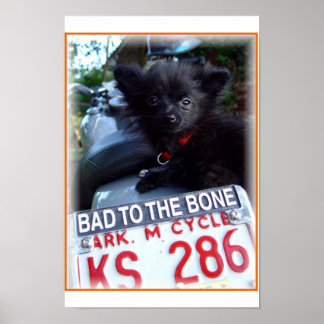 bad to the bone poster