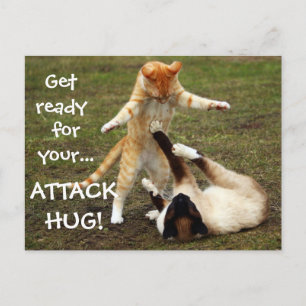 Badass Cats - Attack hug Postcard