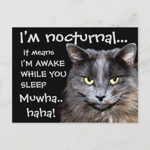 Badass Cats Postcard