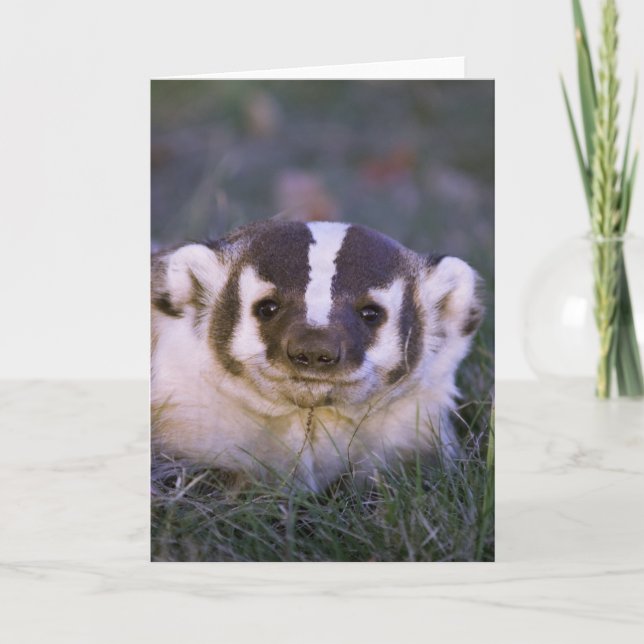 Badger Card (Front)