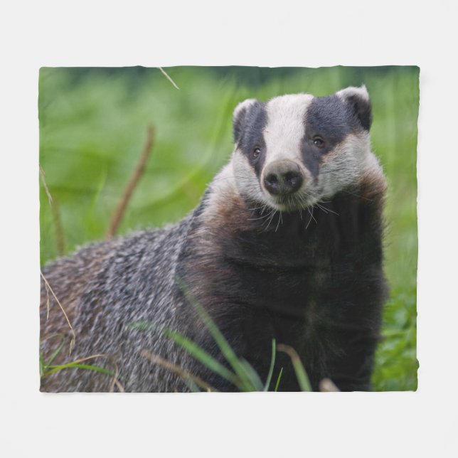 Badger Fleece Blanket (Front (Horizontal))