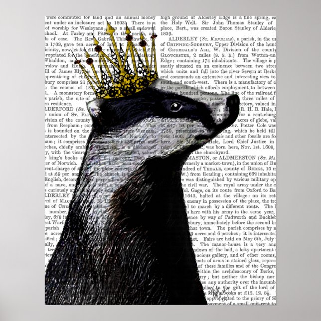 Badger King Poster (Front)