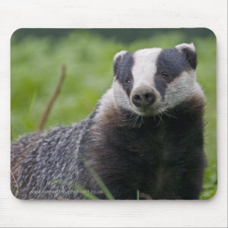 Badger Mousemat