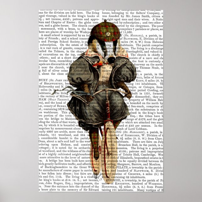 Badger on Vintage Bicycle Poster (Front)