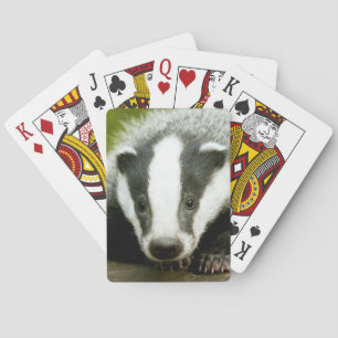 Badger - Stunning pro photo! Playing Cards