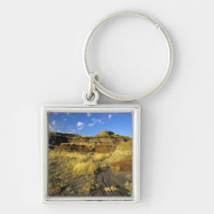 Badlands at Dinosaur Provincial Park in Alberta, Key Ring