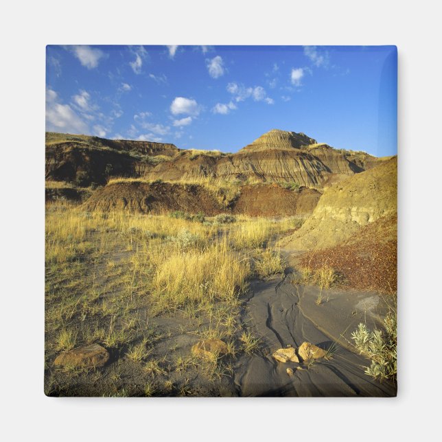 Badlands at Dinosaur Provincial Park in Alberta, Magnet (Front)