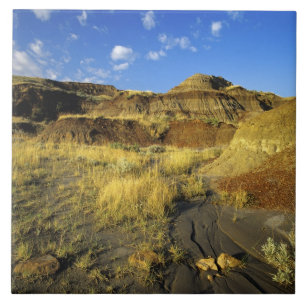 Badlands at Dinosaur Provincial Park in Alberta, Tile