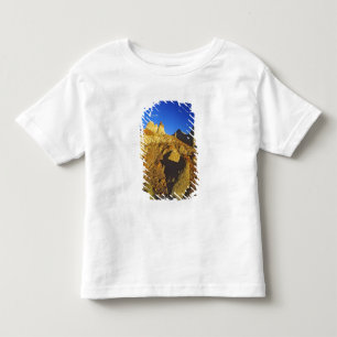 Badlands formations at Dinosaur Provincial Park 6 Toddler T-Shirt