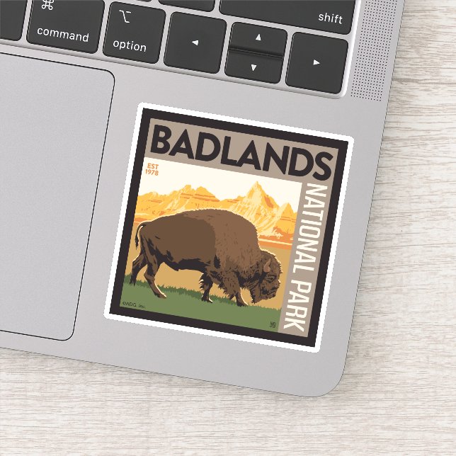 Badlands National Park | Buffalo (Detail)