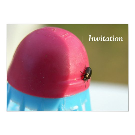 Badminton Party Fly Invitation