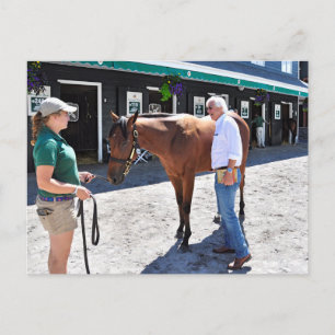 Baffert Checking under the Hood Postcard